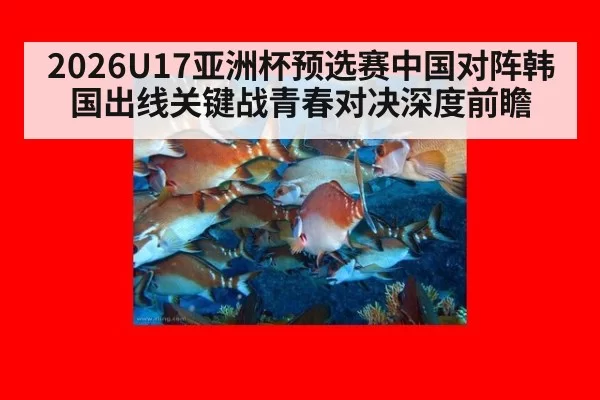 2026U17亚洲杯预选赛中国对阵韩国出线关键战青春对决深度前瞻